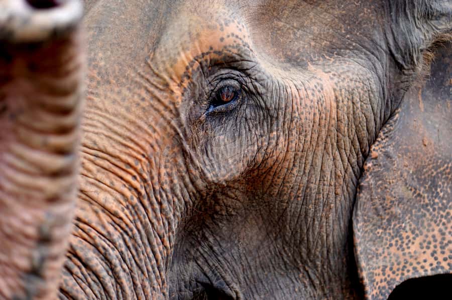 Khao Yai National Park: 2-Day Private Tour from Bangkok - Price and value: is $322 a fair deal for two days?
