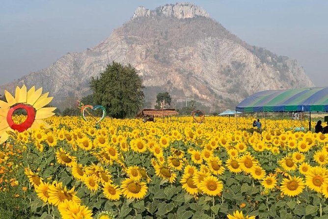Khao Yai national Park day tour from Bangkok - Entrance fees and the real cost breakdown (300 baht + your lunch plan)