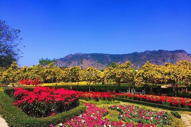 Khao Yai national Park day tour from Bangkok - If there’s a chocolate stop, read the room