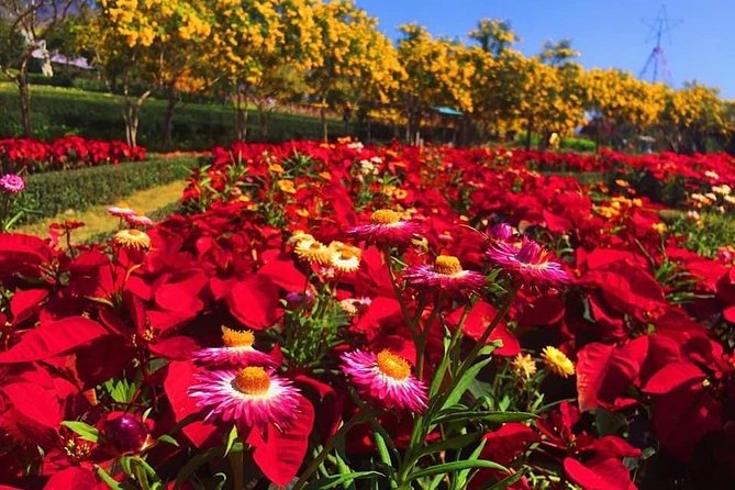 Khao Yai national Park day tour from Bangkok - Private and customizable: how that changes your day