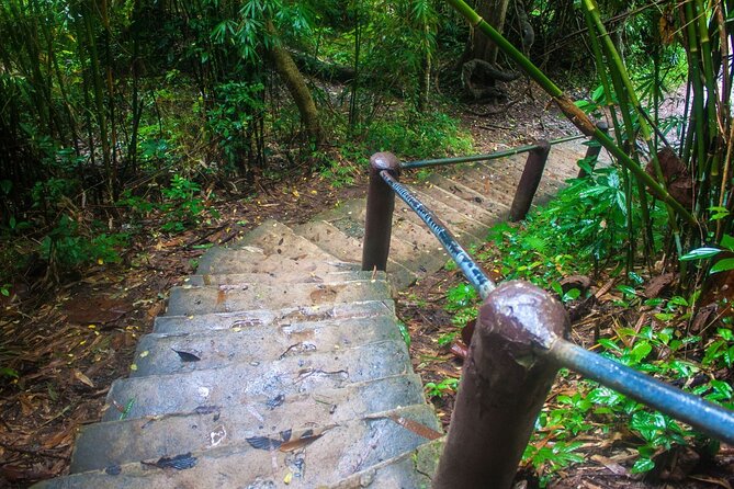 Khao Yai National Park Full-Day From Bangkok - Including Ticket - Haew Suwat Waterfall: Photos, Stairs, and Water-Flow Reality