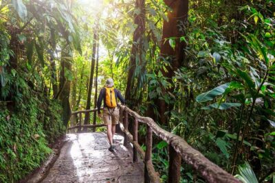 Khao Yai National Park Full-Day From Bangkok - Including Ticket - Bangkok to Khao Yai: The Long Drive You Should Actually Plan For
