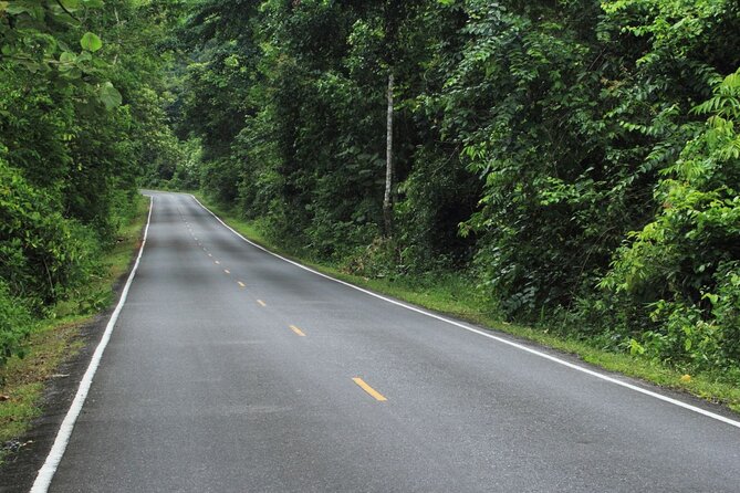 Khao Yai National Park Full-Day From Bangkok - Including Ticket - What You Pay for: Value Breakdown at Around $78