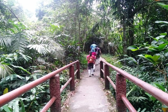 Khao Yai National Park Hiking Day Tour: Haew Narok and Haew Suwat - Sai Sorn Reservoir: a quick nature break with wildlife potential