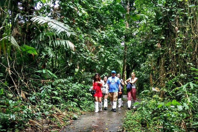 Khao Yai National Park Hiking Day Tour: Haew Narok and Haew Suwat - Lunch at the park area, then the Khao Yai Visitor Centre briefing
