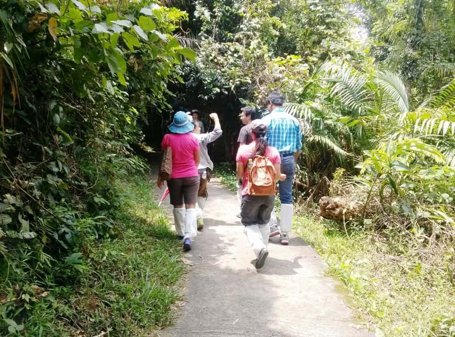 Khao Yai National Park: Waterfalls - Heaw narok & Heaw Suwat - Transport, Guide, and the Little Things That Make the Day Work