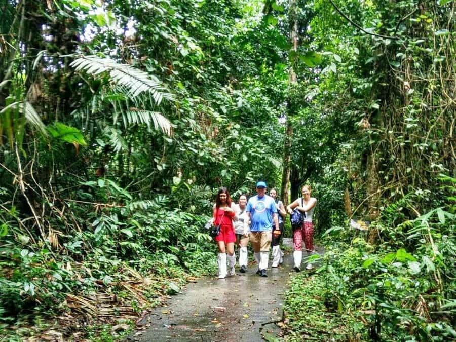 Khao Yai National Park: Waterfalls - Heaw narok & Heaw Suwat - Heading Into Khao Yai: UNESCO Setting and Jungle Footing