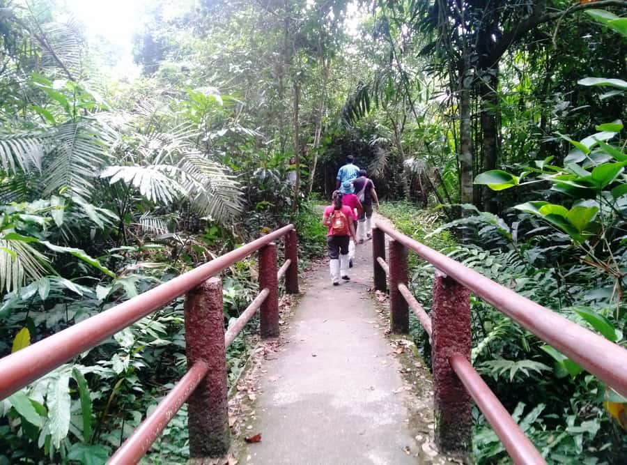 Khao Yai National Park: Waterfalls - Heaw narok & Heaw Suwat - Khao Yai Visitor Centre: Learn Just Enough to Look Smarter