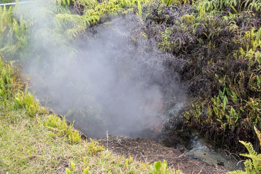 Kilauea: Volcanoes National Park Guided Hike - Native plants, lava geology, and Hawaiian stories you can actually use