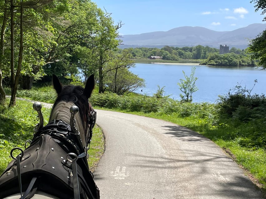 Killarney Carriage Tours National Park and Lakes - Quick highlights from Cronin’s Carriage Rides Killarney
