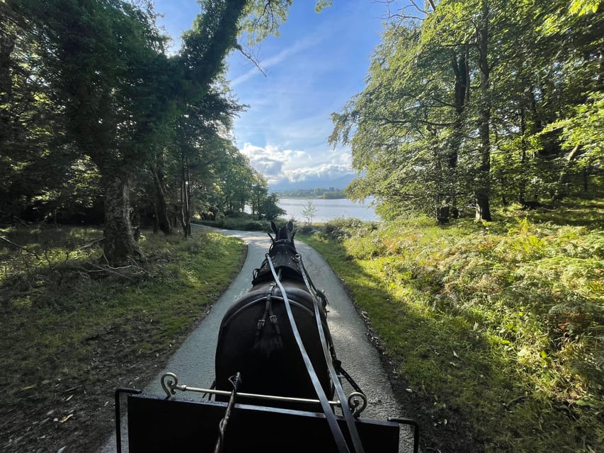 Killarney Carriage Tours National Park and Lakes - Photo stops that make the ride more than just transportation