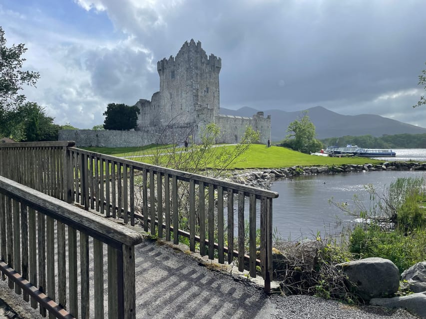 Killarney Carriage Tours National Park and Lakes - Red deer parks: a classic Killarney feature you pass by