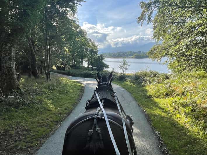 Killarney Carriage Tours National Park and Lakes - How long it takes and how to plan around it