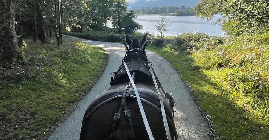 Killarney Carriage Tours National Park and Lakes - Private group value at $40 per person