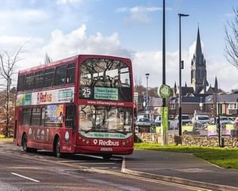 Killarney: Hop-On Hop-Off Bus to Killarney National Park - Key things to know before you ride
