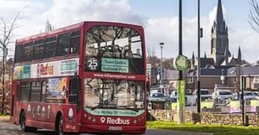 Killarney: Hop-On Hop-Off Bus to Killarney National Park - Ross Castle on Lough Leane: the 15th-century anchor stop