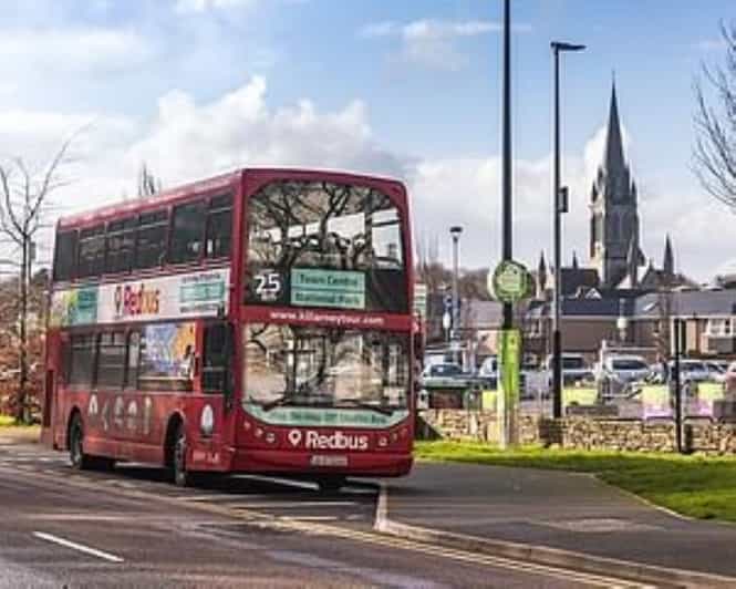 Killarney: Hop-On Hop-Off Bus to Killarney National Park - Mission Road start: getting oriented fast