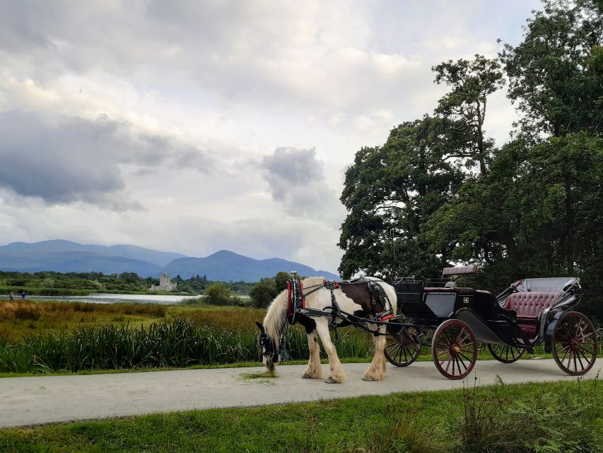 Killarney: Killarney National Park Private Tour - Key highlights you will feel right away