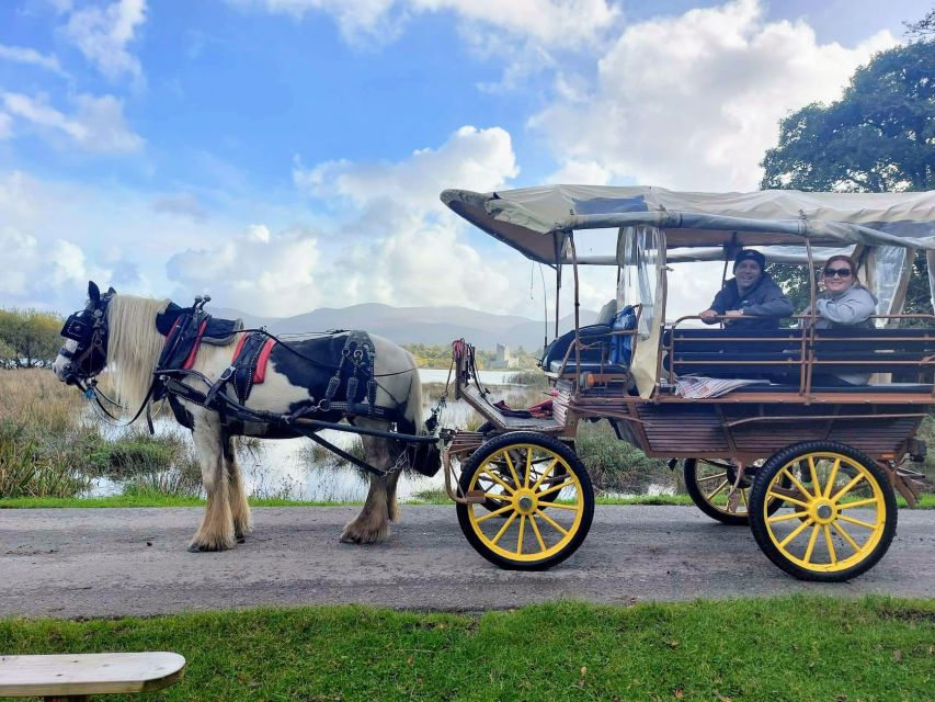 Killarney: Killarney National Park Private Tour - Killarney House and Gardens: a quick scenic pass with wildlife spotting potential