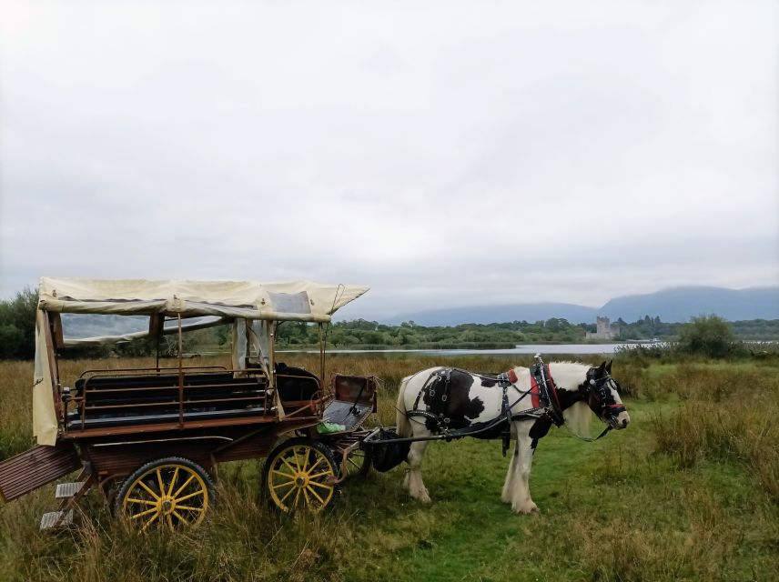 Killarney: Killarney National Park Private Tour - Carrauntoohil and Carrantouhill views: seeing Ireland’s tallest mountain