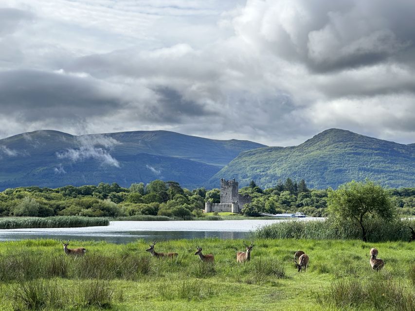 Killarney: Killarney National Park Private Tour - Why a private jaunting car is the right pace for Killarney National Park