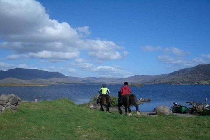 Killarney National Park Horseback Ride. Co Kerry. Guided. 1 hour. - Price and Value: What You’re Paying For at $129.13