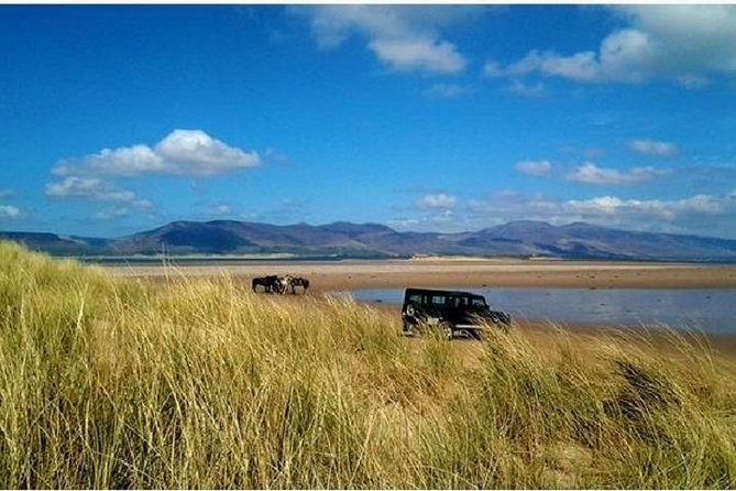 Killarney National Park Horseback Ride. Co Kerry. Guided. 1 hour. - Weather, Timing, and Day-Planning Tips That Actually Help