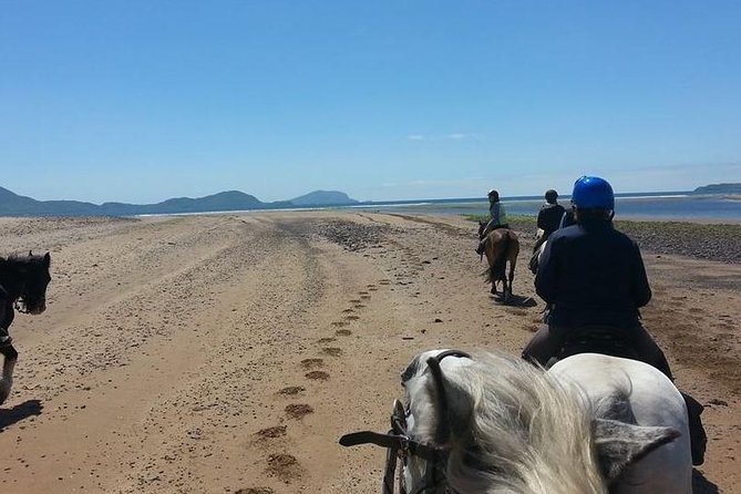 Killarney National Park Horseback Ride. Co Kerry. Guided. 2 hours. - The Actual Pace on the Trail: What Two Hours Usually Means