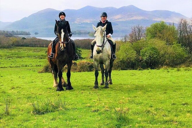 Killarney National Park Horseback Ride. Co Kerry. Guided. 3 hours. - The 3-Hour Flow Inside the Park (Including Lough Lein)