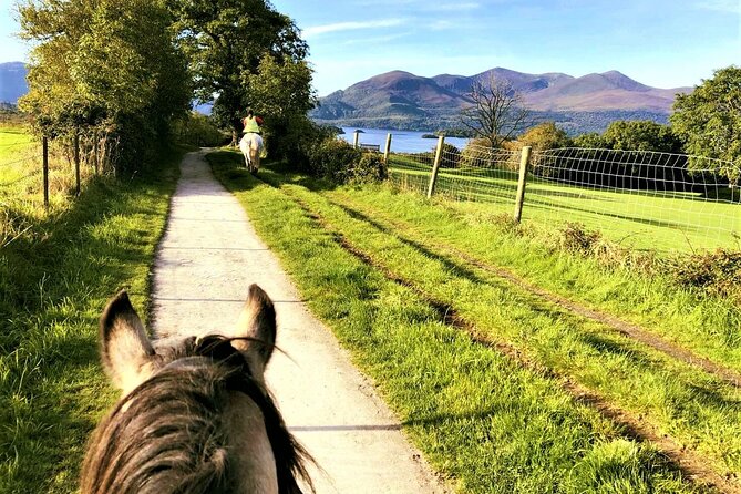 Killarney National Park Horseback Ride. Co Kerry. Guided. 3 hours. - Pace, Physical Fitness, and What You Should Actually Be Ready For