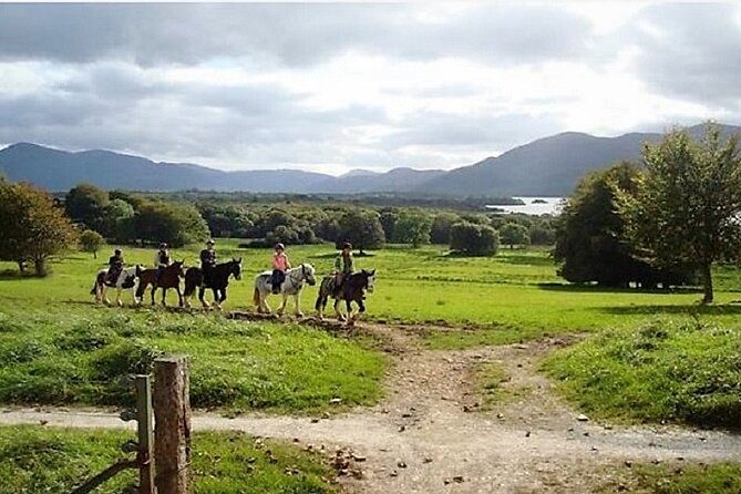 Killarney National Park Horseback Ride. Co Kerry. Guided. 3 hours. - Price and Value: Is $282.97 for 3 Hours Reasonable?