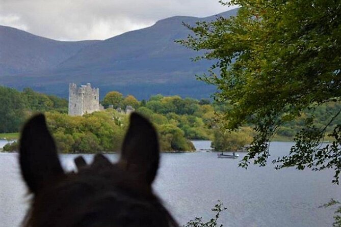 Killarney National Park Horseback Ride. Co Kerry. Guided. 3 hours. - Who Should Book This Ride (and Who Might Skip It)