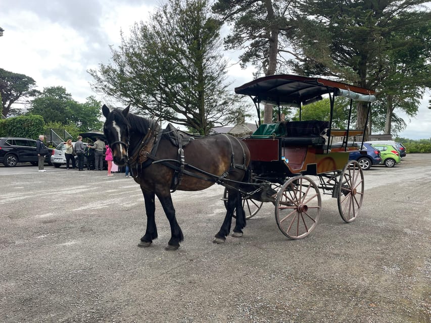 Killarney National Park Jaunting Car Tour - A One-Hour Jaunting Car Route Through Killarney’s Best Known Views