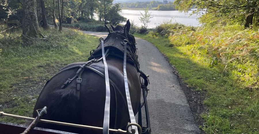Killarney National Park Jaunting Car Tour - Entering Killarney National Park and Catching Ireland’s Highest Mountain