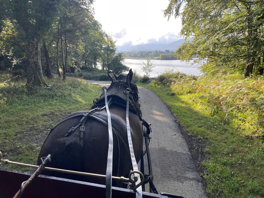 Killarney National Park Jaunting Car Tour - Pickup on Beech Road and the Quick Lead-In at St Mary’s Cathedral