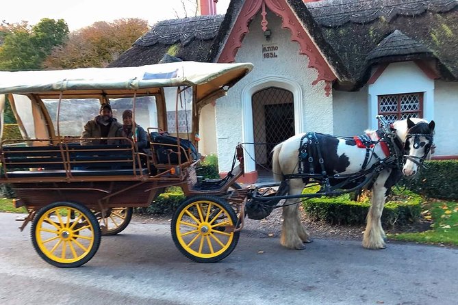 Killarney National Park Tour - Ross Castle stop: choose walk time or lake-shore photos