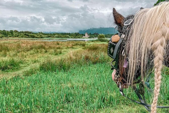 Killarney National Park Tour - Who should book this carriage tour, and who should think twice