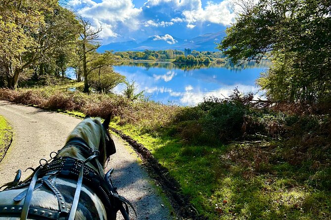 Killarney National Park Tour - Quick practical tips for your hour in the park