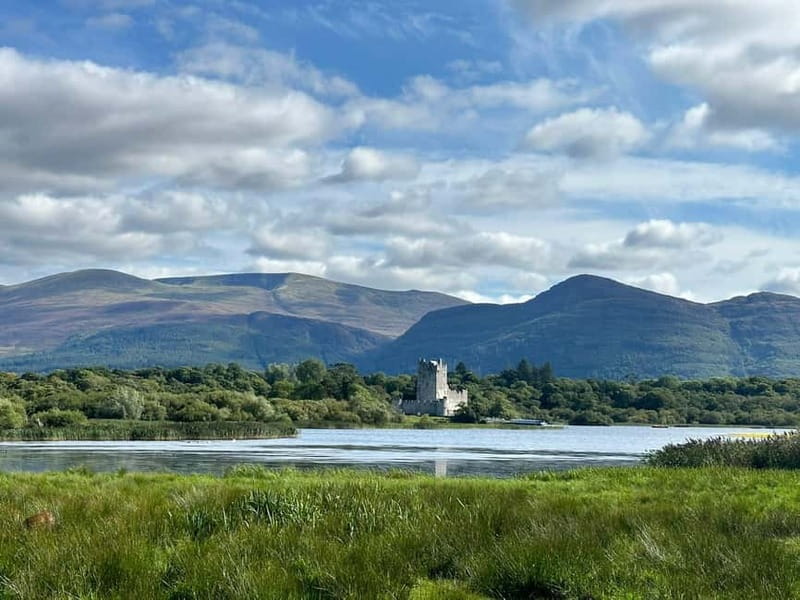 Killarney National Park Tour - Wildlife and deer spotting: what to watch for on the ride