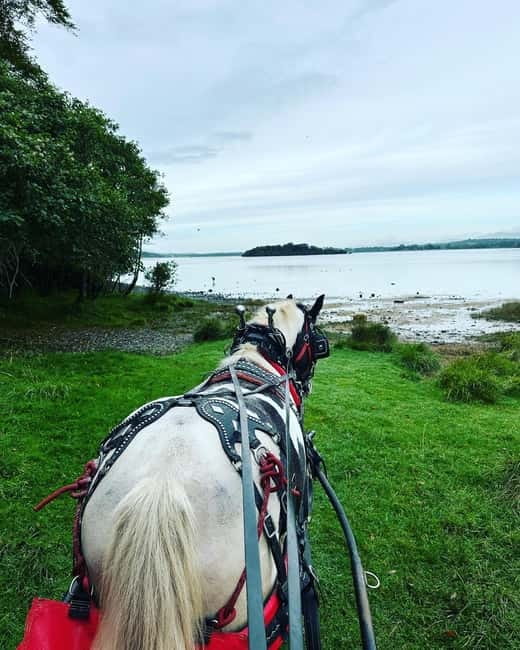 Killarney National Park Tour - Where the tour ends: Deenagh Lodge tea cottage again