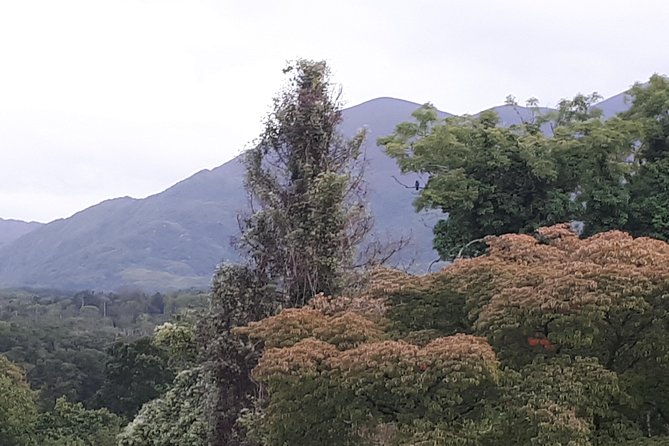 Killarney Valley & National Park - Private Tour - Killarney National Park: UNESCO, red deer, and real ecology