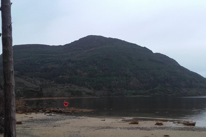 Killarney Valley & National Park - Private Tour - Price and what it really means for up to 3 people