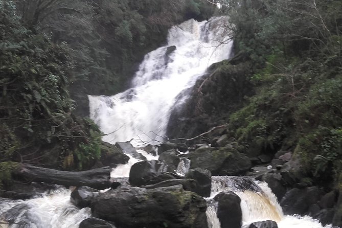 Killarney Valley & National Park - Private Tour - Getting the timing right: how to make this 6–7 hours feel smooth