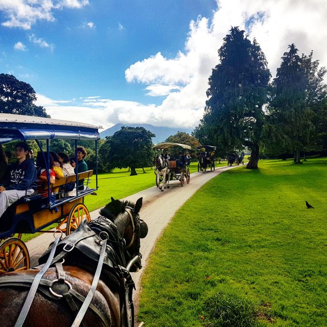 Killarney: Views & Brews Jaunting in Killarney National Park - Should you book Killarney: Views & Brews Jaunting?
