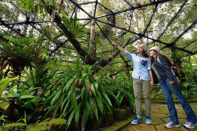 Kinabalu National Park Tour - Key highlights you’ll feel on the day