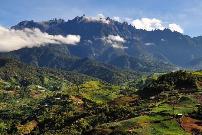 Kinabalu National Park Tour - Stop 4: Poring Hot Springs and the canopy walkway (the heart of the day)