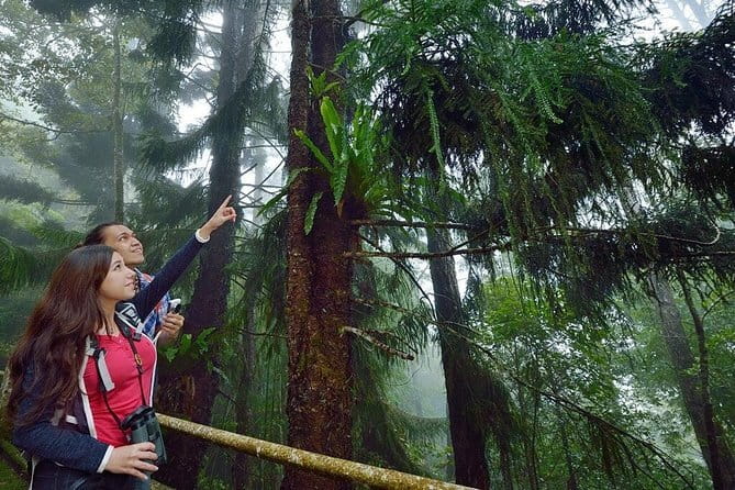 Kinabalu National Park Tour - Price and logistics: what $135 includes (and what can cost extra)