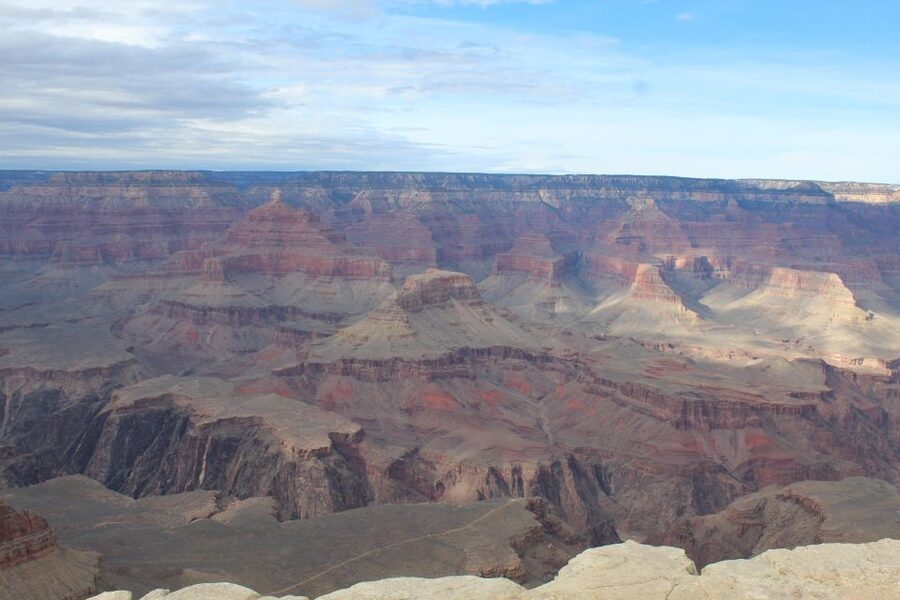 Kingman: Grand Canyon National Park South Rim Bus Tour - Kaibab National Forest: The Ride With the Explanations