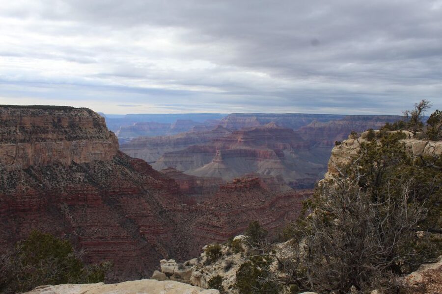 Kingman: Grand Canyon National Park South Rim Bus Tour - Price and the Hidden Extra: $130 Plus Possible Non-U.S. Fees