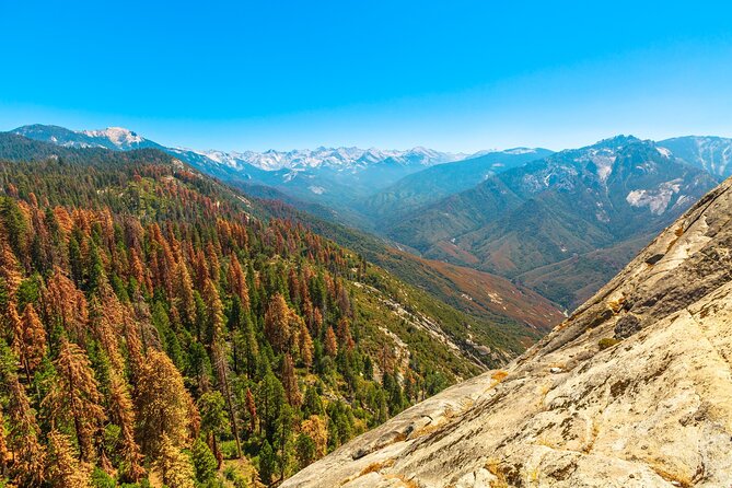 Kings Canyon National Park Self-Guided Audio Tour - Kings Canyon viewpoints that do the work for you